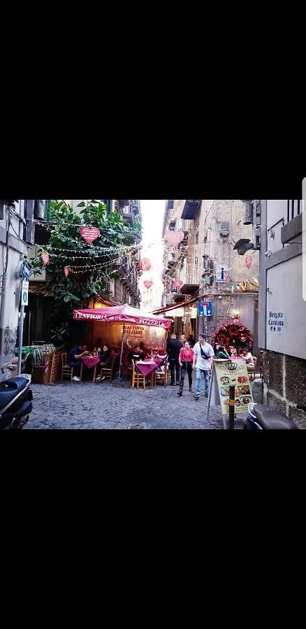 Bed & Breakfast Casa Carolina A Toledo Bed and Breakfast Napoli